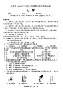 湖南省怀化市2024-2025学年九年级上学期期末抽测化学试卷