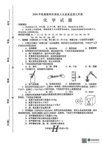 河南省南阳市唐河县2024-2025学年九年级上学期1月期末化学试题