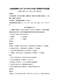 2023~2024学年云南省曲靖市九年级上学期期末考试化学试卷（解析版）
