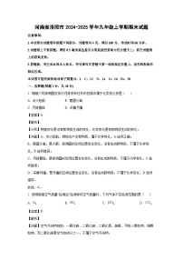 2024~2025学年河南省洛阳市九年级上学期期末化学试卷（解析版）