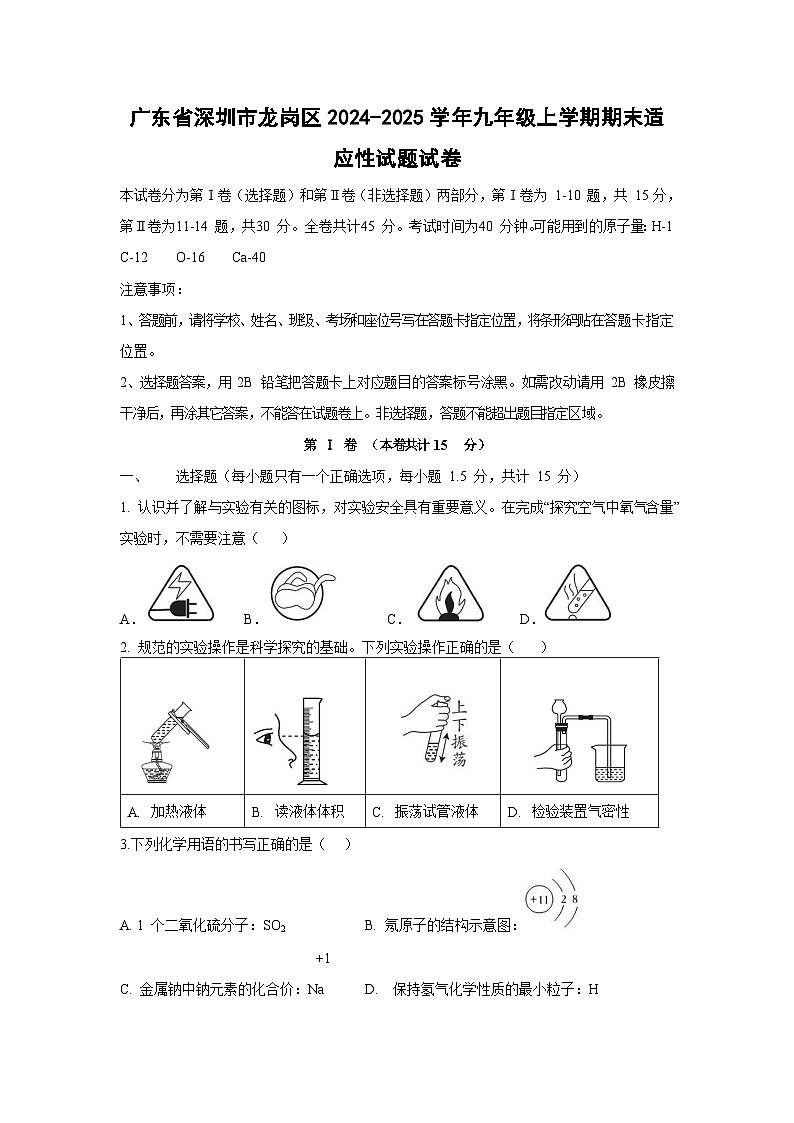 2024~2025学年广东省深圳市龙岗区九年级上学期期末适应性化学试卷第1页