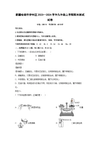 2023~2024学年新疆哈密市伊州区九年级上学期期末测试化学试卷（解析版）