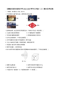 安徽省合肥市西苑中学2024-2025学年九年级（上）期末化学试卷（含解析）