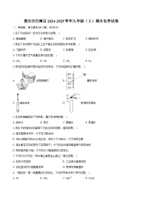 重庆市巴南区2024-2025学年九年级（上）期末化学试卷