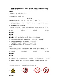 2024-2025学年甘肃省定西市九年级上学期期末化学试卷（解析版）