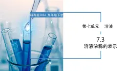 7.3 溶液浓稀的表示-初中化学九年级下册同步教学课件+同步练习（科粤版2024）