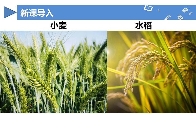 【核心素养】人教版化学九年级下册 课题3 溶质的质量分数(第2课时) 同步课件第4页