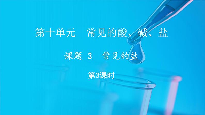10.3 常见的盐 第3课时 (课件)-2024-2025学年九年级化学人教版(2024)下册第1页