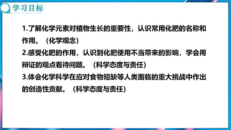 10.3 常见的盐 第3课时 (课件)-2024-2025学年九年级化学人教版(2024)下册第2页