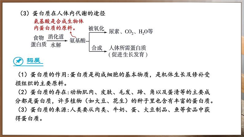 11.1 化学与人体健康 第2课时 (课件)-2024-2025学年九年级化学人教版(2024)下册第7页