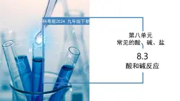 8.3 酸和碱反应-初中化学九年级下册同步教学课件+同步练习（科粤版2024）