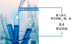 8.4 常见的盐-初中化学九年级下册同步教学课件+同步练习（科粤版2024）