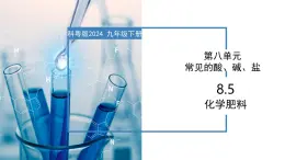 8.5 化学肥料-初中化学九年级下册同步教学课件+同步练习（科粤版2024）