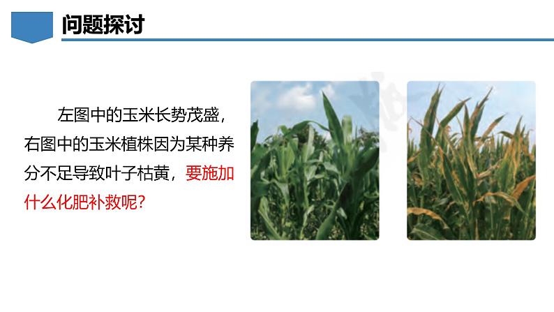 8.5 化学肥料-初中化学九年级下册同步教学课件(科粤版2024)第3页