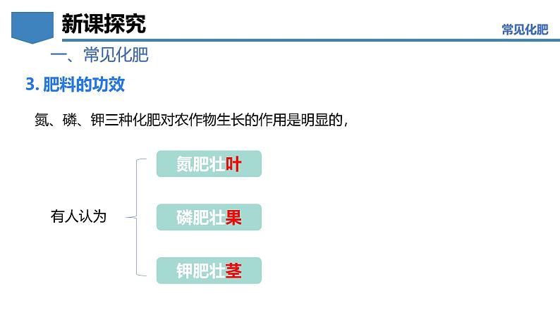 8.5 化学肥料-初中化学九年级下册同步教学课件(科粤版2024)第8页