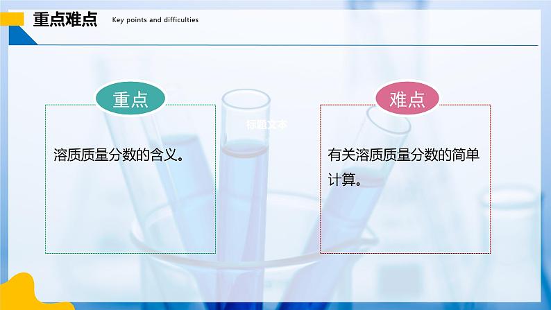 9.3 溶质的质量分数(第1课时)(同步课件) 第3页