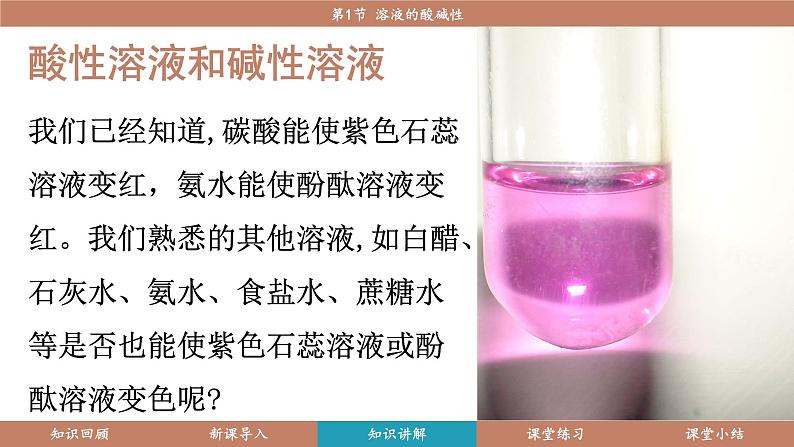 沪教版(2024)九年级化学下册 8.1 溶液的酸碱性(课件)第6页