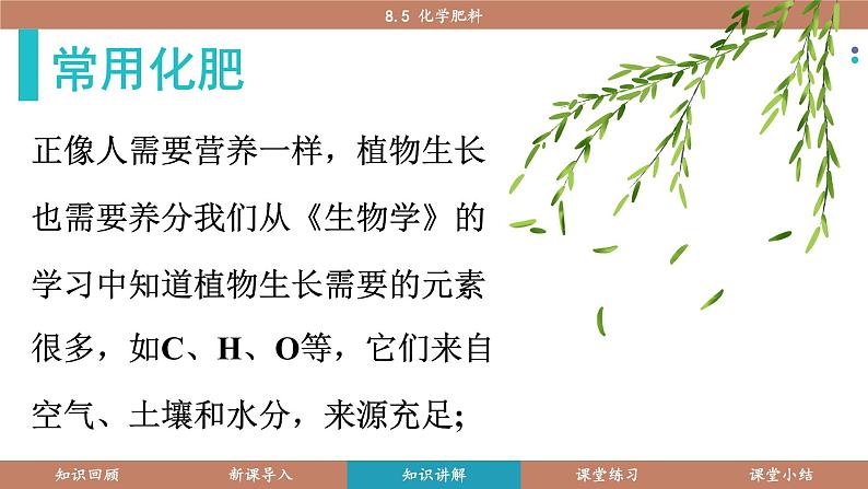 科粤版(2024)九年级化学下册8.5化学肥料(课件)第3页