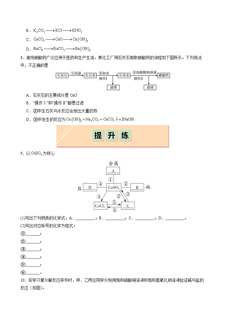 10.3 常见的盐(第2课时)(分层练习)(原卷版)第2页