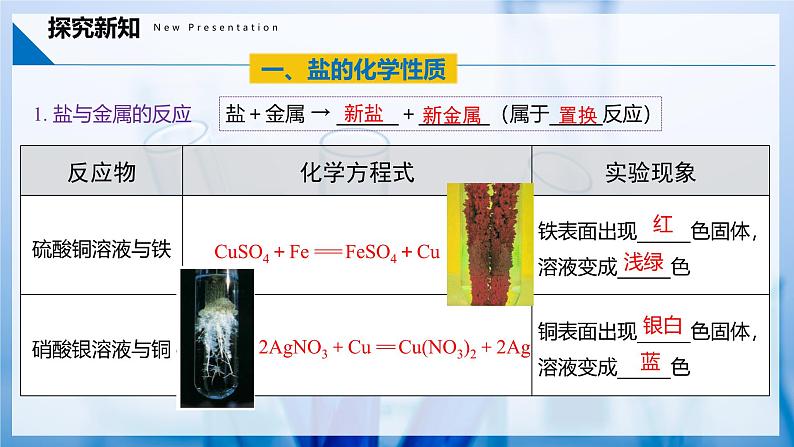 10.3 常见的盐(第2课时)(同步课件) 第6页