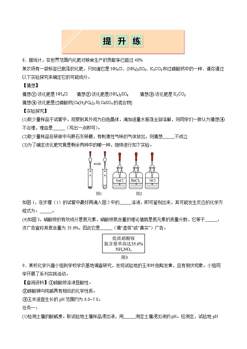 10.3 常见的盐(第3课时)(分层练习)(原卷版)第2页