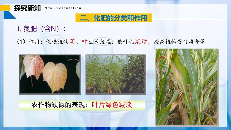 10.3 常见的盐(第3课时)(同步课件)- 第8页