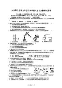 湖南省長(zhǎng)沙市雅禮洋湖實(shí)驗(yàn)中學(xué)2024-2025學(xué)年九年級(jí)下學(xué)期入學(xué)考試化學(xué)試卷