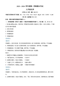 山东省枣庄市山亭区2023-2024学年九年级上学期期末化学试卷（解析版）