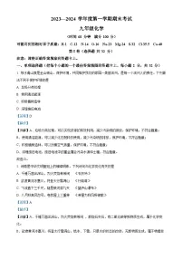 山东省枣庄市山亭区2023-2024学年九年级上学期期末化学试卷（解析版）