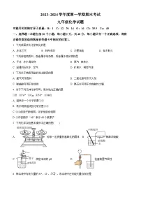 山东省枣庄市滕州市2023-2024学年九年级上学期期末化学试题（原卷版）