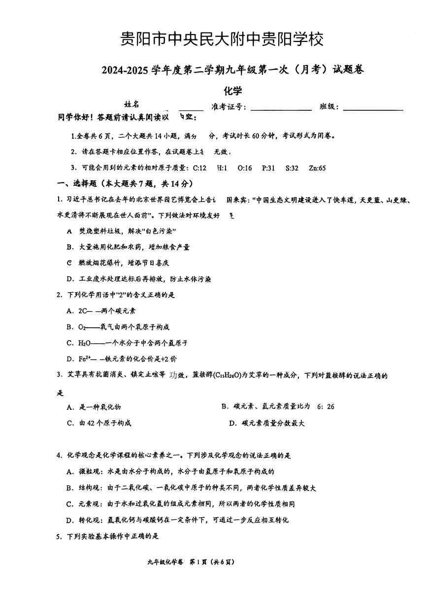 贵州省贵阳市中央民族大附中贵阳学校2024-2025学年九年级下学期第一次月考化学试题