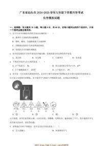 2024～2025学年广东省汕头市九年级下开学考试化学模拟试卷(含答案)