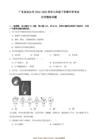 2024~2025学年广东省汕头市九年级下开学考试化学模拟试卷(含答案)