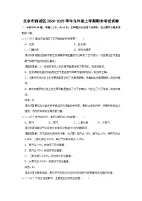 北京市西城区2024-2025学年九年级(上)期末考试化学试卷（解析版）
