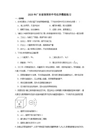 2025年广东省深圳市中考化学模拟练习