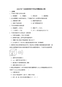 2025年广东省深圳市中考化学模拟练习卷