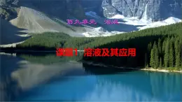 课题1 溶液及其应用 课件