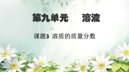 课题3 溶质的质量分数 课件