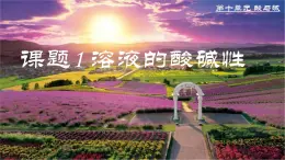 课题1 溶液的酸碱性 课件