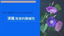 课题1 溶液的酸碱性 课件