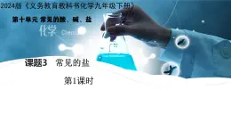 课题3 常见的盐(共4课时) 课件