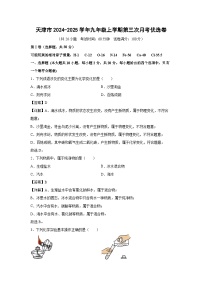 天津市2024-2025学年九年级(上)第三次月考优选卷化学试卷（解析版）
