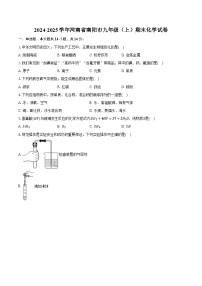 2024-2025学年河南省南阳市九年级（上）期末化学试卷