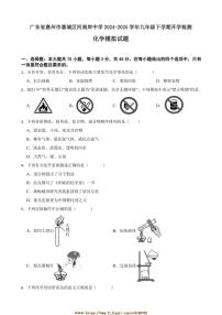 2024～2025学年广东省惠州市惠城区河南岸中学九年级下开学检测化学模拟试卷(含答案)