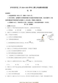 2024~2025学年四川省泸州市泸县第二中学九年级上1月期末化学试卷(含答案)