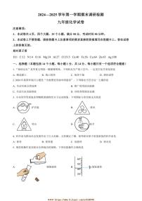 2024～2025学年河南省开封市九年级上期末化学试卷(含答案)