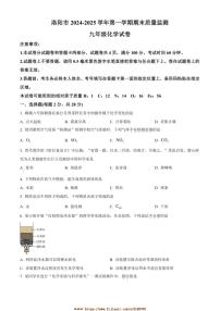 2024～2025学年河南省洛阳市九年级上期末化学试卷(含答案)