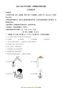 2024~2025学年陕西省渭南市临渭区学校九年级上期末调研化学试卷(含答案)