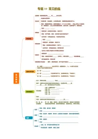 2025年中考化学一轮复习 专题10 常见的盐(讲义)
