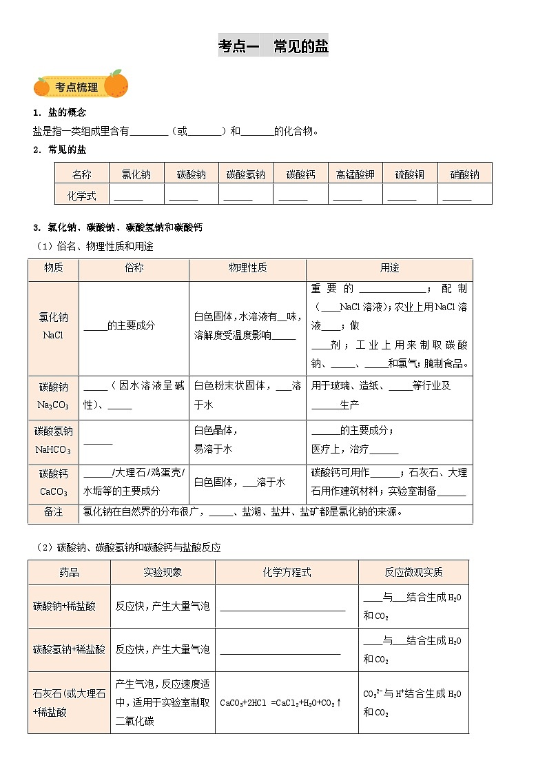 2025年中考化学一轮复习 专题10 常见的盐(讲义)第2页